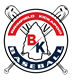 Brimfield Youth Baseball/Softball Association
